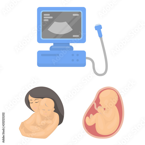 Woman and pregnancy cartoon icons in set collection for design. Gynecology and equipment vector symbol stock web illustration.