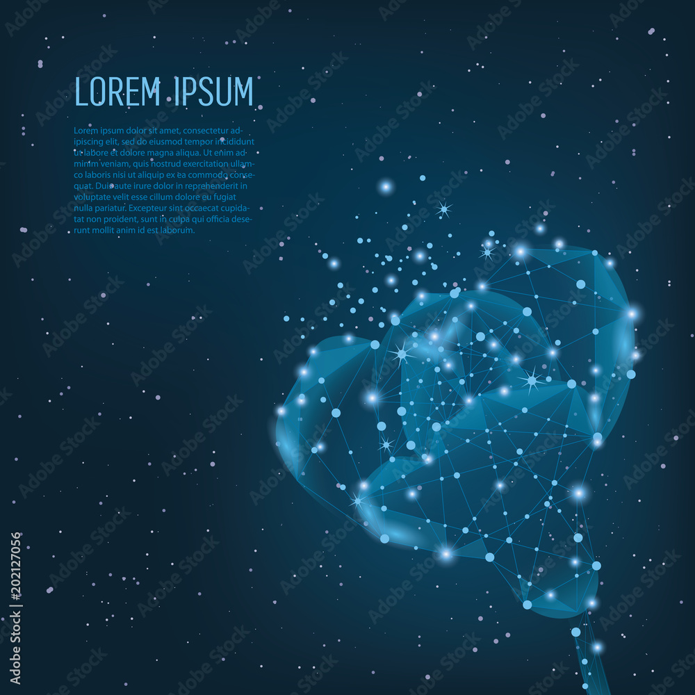 Fototapeta premium Creative polygonal flower on dark blue background. Science and beauty innovation concept in low poly wireframe style.