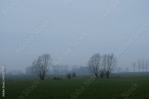 Wallpaper Mural Misty landscape Torontodigital.ca