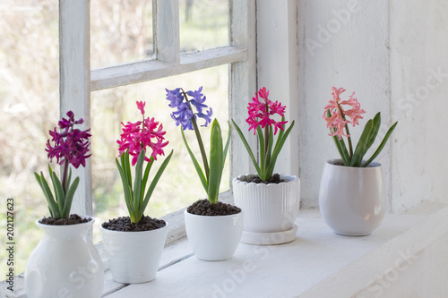 Fototapeta Naklejka Na Ścianę i Meble -  spring flowers on windowsill