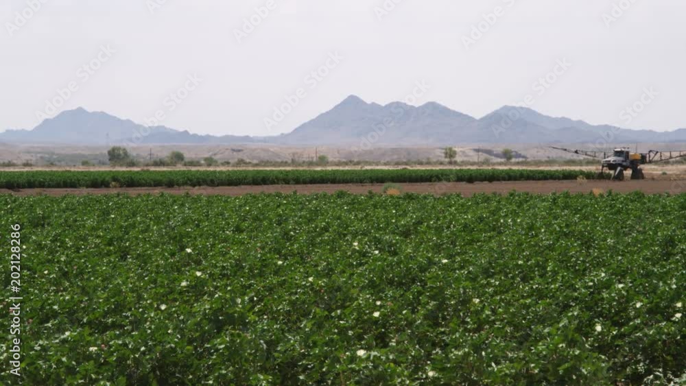 Crop sprayer moving through a field, green plants in foreground Crop sprayer moving through a field, green plants in foreground