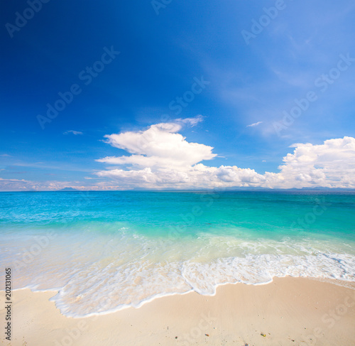 beach and tropical sea