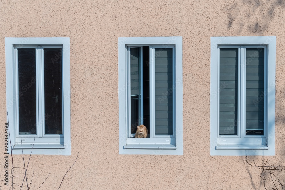 Rotbraune Katze sitzt auf einer Fensterbank und schaut aus dem Fenster