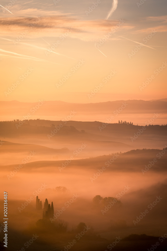 Obraz premium Picturesque sunrise in Tuscany, Italy. Misty morning with light fog shapes magically the hills and valleys of this beautiful tourist location in San Quirico d'Orcia region. Vertical image