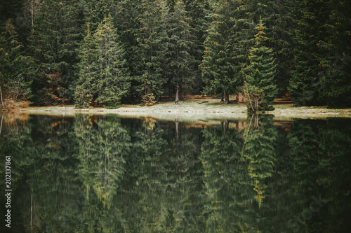 Evergreen forest.lake refle...
