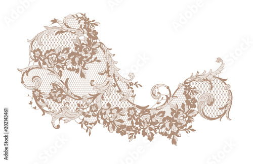 lace ornate element. vector illustration