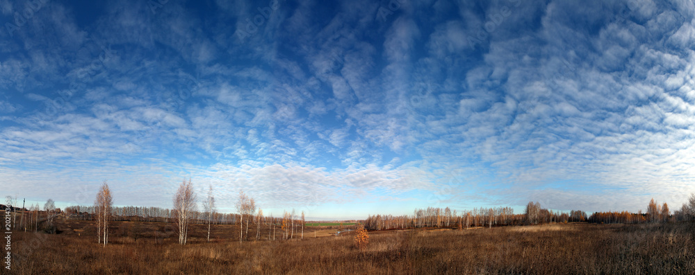  russian sky trees autumn panorama