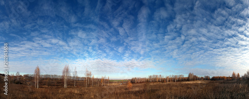  russian sky trees autumn panorama