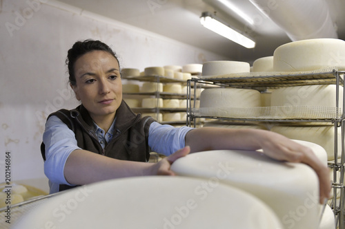 Photos Cheese maker checking production in cheese cellar