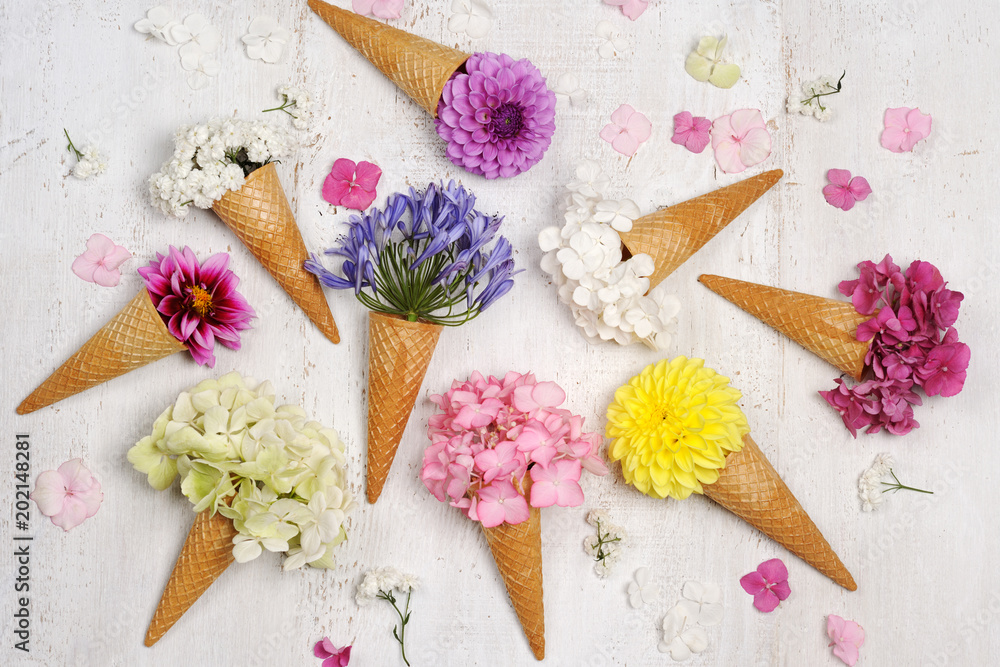 Fototapeta szyszki lodów z pięknymi kwiatami