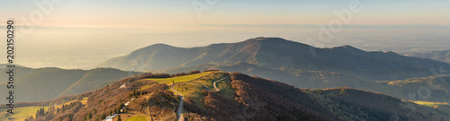 French landscape - Vosges. View from the Grand Ballon in the Vosges (France) towards the Jura and Alps in the early morning.