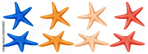 Set of colored starfish on a white background © ekyaky