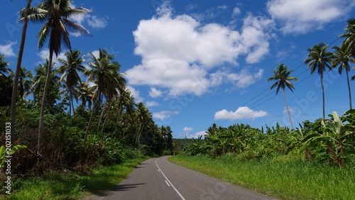 Tall palm trees stretch over empty asphalt road running through sunny island.
