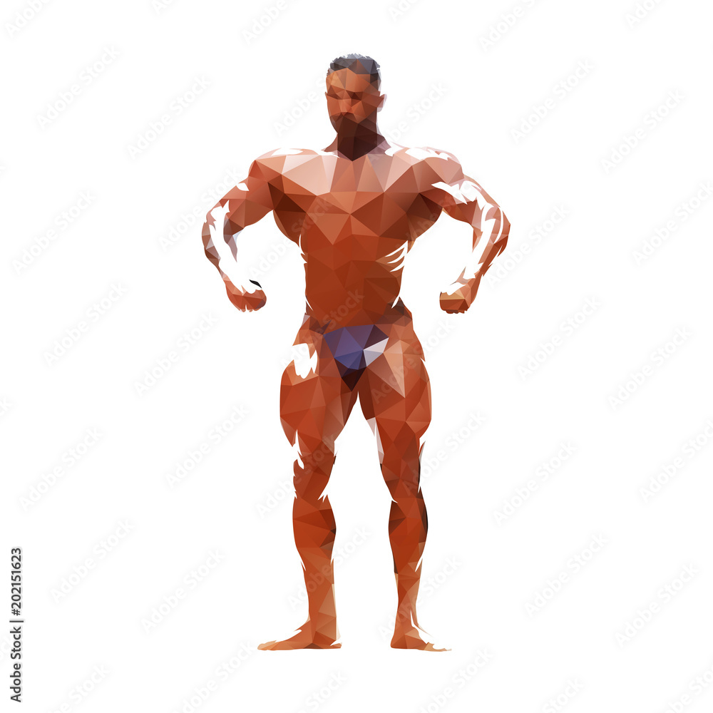 Bodybuilder posing, polygonal isolated vector illustration. Standing man with big muscles Bodybuilder posing, polygonal isolated vector illustration. Standing man with big muscles