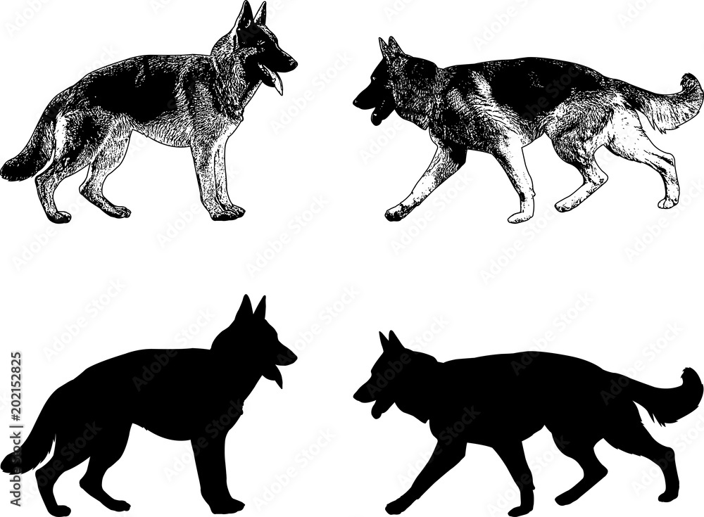 german shepherd dog silhouette and sketch - vector