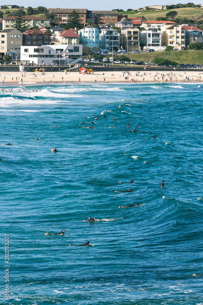 Surfers Catching Waves In Bondi (Sydney - Australia)