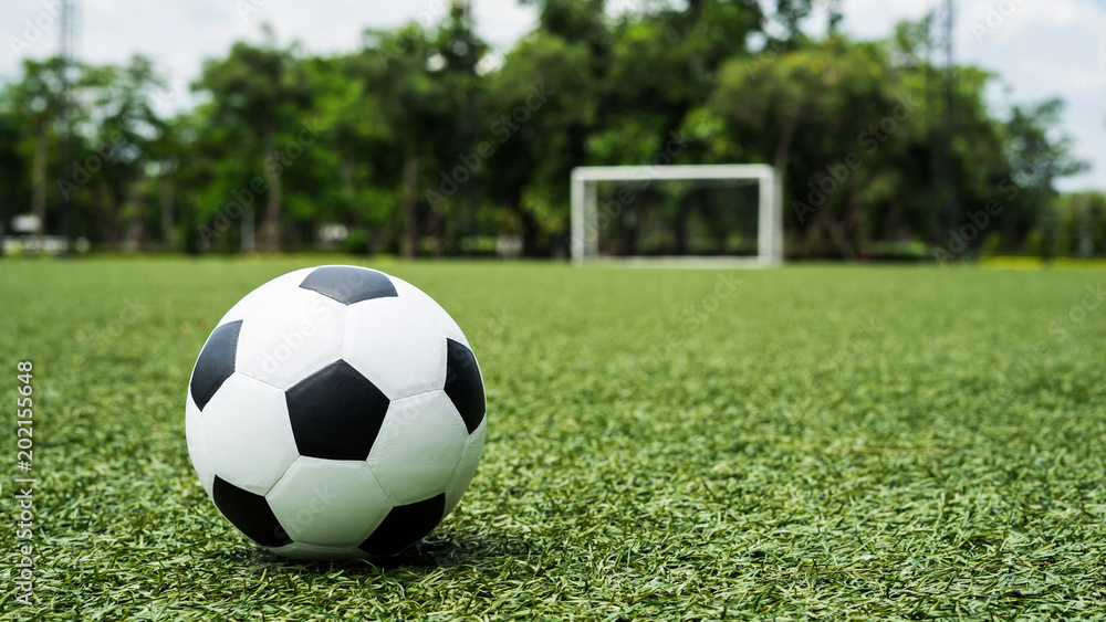 football field  ball on green grass , soccer field  background texture