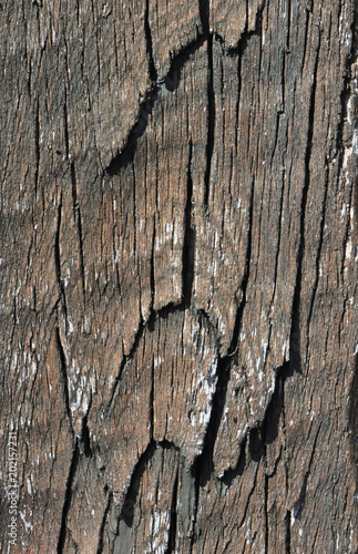Some cracks on an old brown beam surface