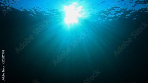 Blue underwater background © Richard Carey