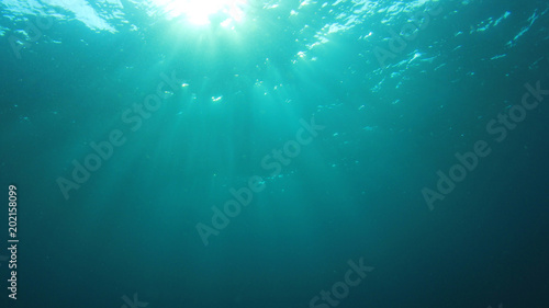 Underwater sunlight blue ocean