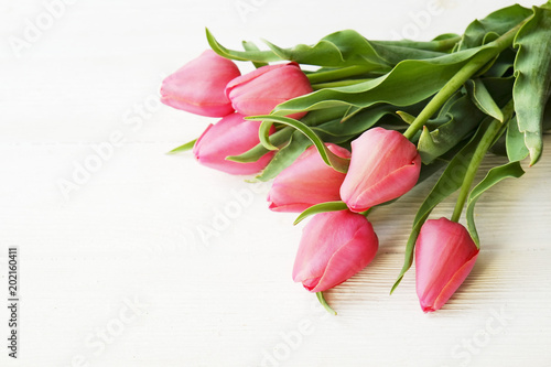 Bunch of pink tulip in beautiful spring holidays composition lying on white wooden textured table background. Mother's day bouquet arrangement. Flowers for women's day. Copy space, close up, top view.