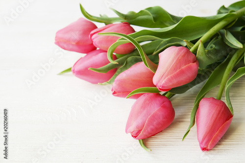 Fototapeta Naklejka Na Ścianę i Meble -  Bunch of pink tulip in beautiful spring holidays composition lying on white wooden textured table background. Mother's day bouquet arrangement. Flowers for women's day. Copy space, close up, top view.