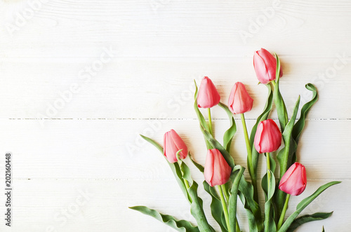 Fototapeta Naklejka Na Ścianę i Meble -  Bunch of pink tulip in beautiful spring holidays composition lying on white wooden textured table background. Mother's day bouquet arrangement. Flowers for women's day. Copy space, close up, top view.