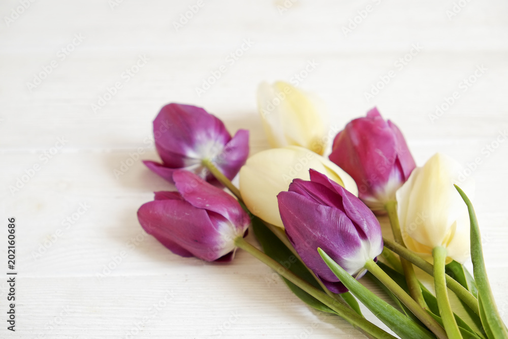 Tender minimalistic spring flowers composition on texture surface. Beautiful feminine plant decoration for holiday greeting card. Summertime, summer, spring, march april, june july. Happy mother's day Tender minimalistic spring flowers composition on texture surface. Beautiful feminine plant decoration for holiday greeting card. Summertime, summer, spring, march april, june july. Happy mother's day
