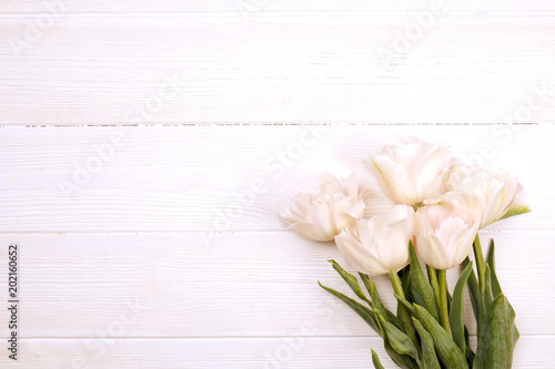 Beautiful spring holidays flowers arrangment. Bunch of white tulips in festive composition, copy space for text, white background.