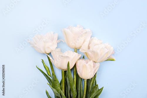 Beautiful spring holidays flowers arrangment. Bunch of white tulips in festive composition, copy space for text, white background.