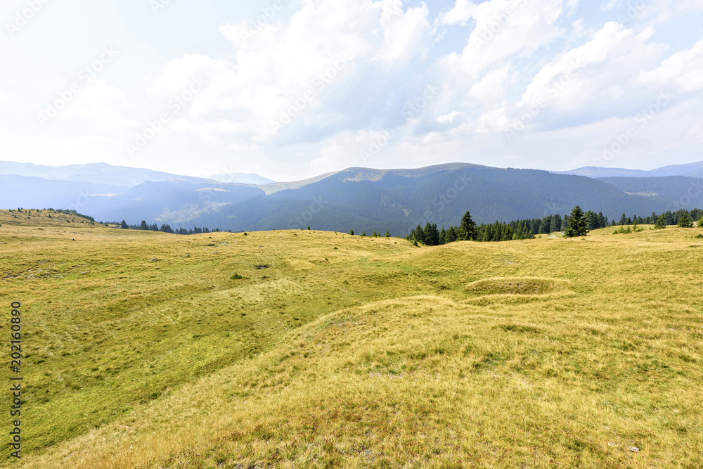 Obraz premium Daylight view to green grass field with mountains and haze