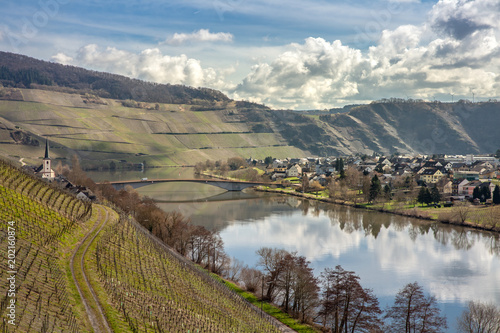 Moselle Landscape at Piesport vineyards spring Landscape