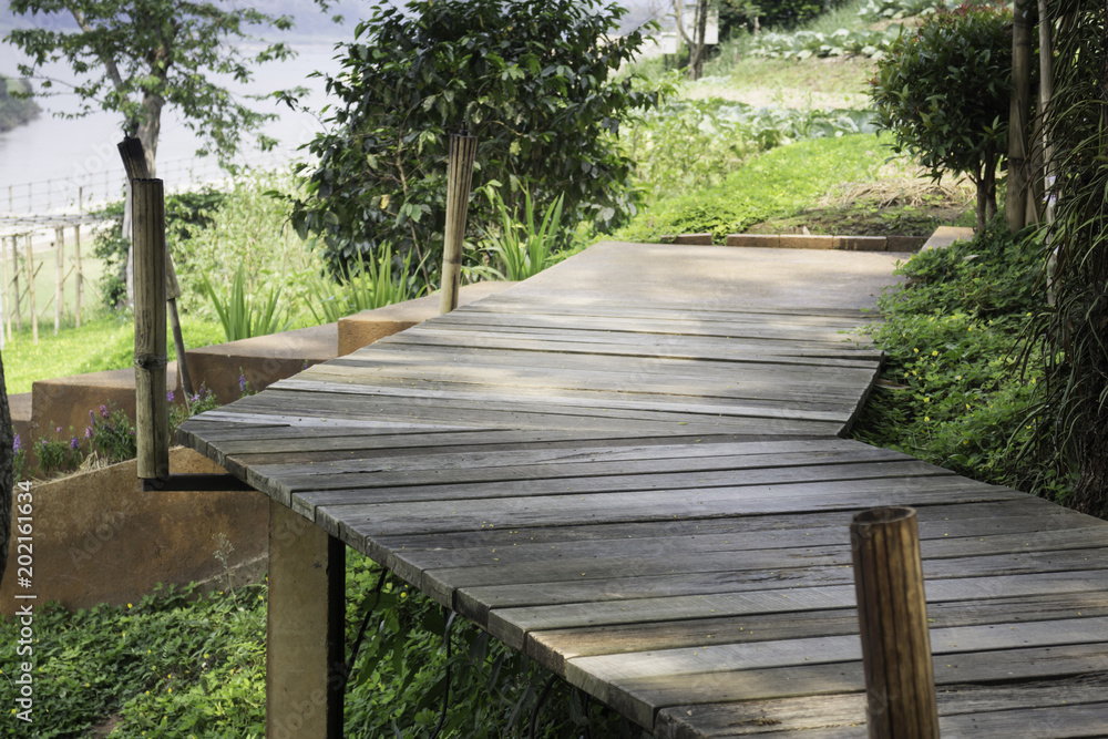 Wooden walkway with tropical garden