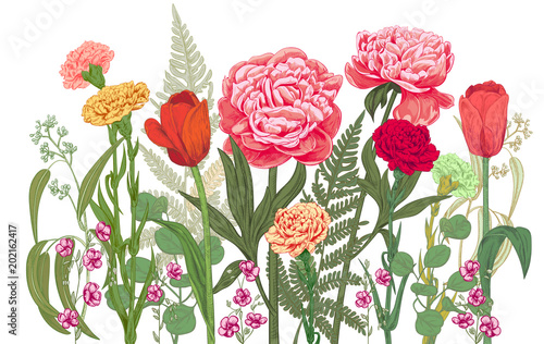 Horizontal border: carnation, peony, tulip, chamomile, fern, eucalyptus. Red,...