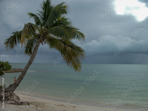 Fototapeta Naklejka Na Ścianę i Meble -  stormy weather at the beach in miami
