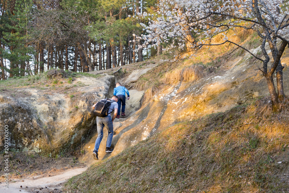 Obraz premium father and son climb a rock in the park, a flowering tree, a man and a child in the park