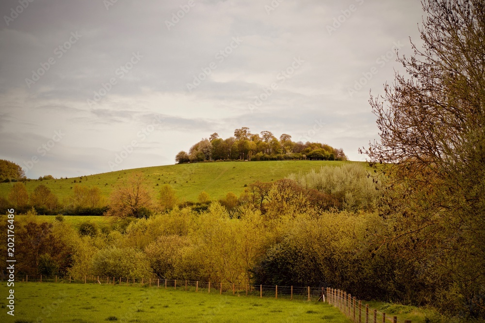 Fototapeta premium Landscape view on fields