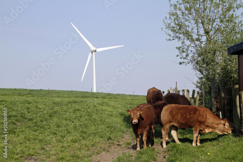 Sustainable agriculture and wind turbine