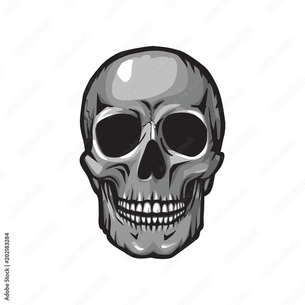 Obraz premium Human skull, vector illustration