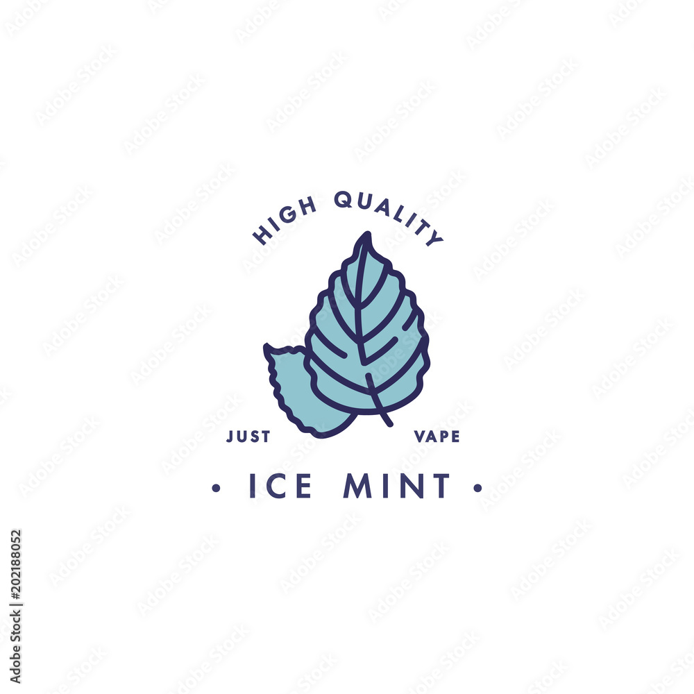 Design template logo and emblem - taste and liquid for vape - ice mint. Logo in trendy linear style.
