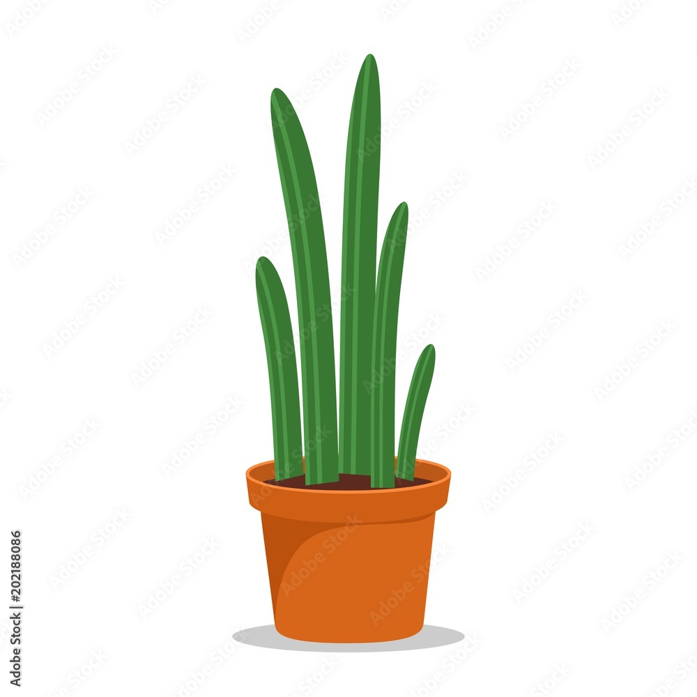Cactus houseplant in flower pot. Cactus icon in a flat style on a white background. Succulent plant. Vector illustration Cactus houseplant in flower pot. Cactus icon in a flat style on a white background. Succulent plant. Vector illustration