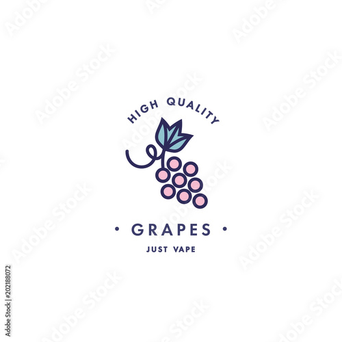 Design template logo and emblem - taste and liquid for vape - grapes. Logo in trendy linear style.