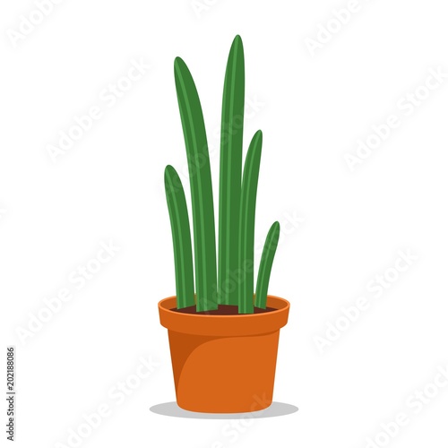 Cactus houseplant in flower pot. Cactus icon in a flat style on a white background. Succulent plant. Vector illustration