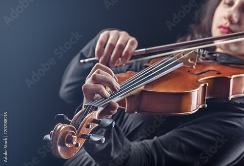 Фотография Violinist