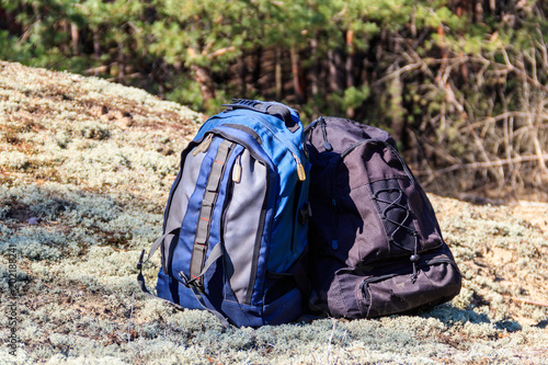 Two tourist backpacks on the glade in pine forest © olyasolodenko