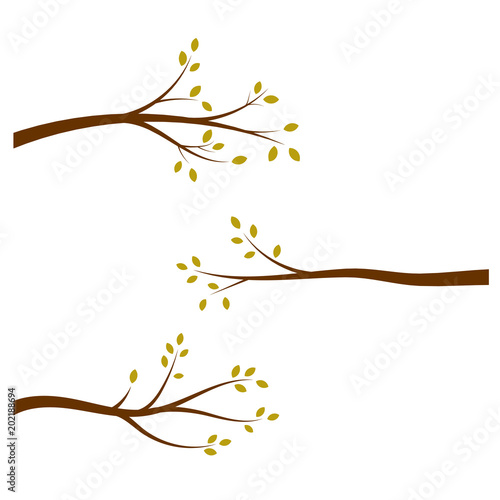 Set of tree branches with green leaves.