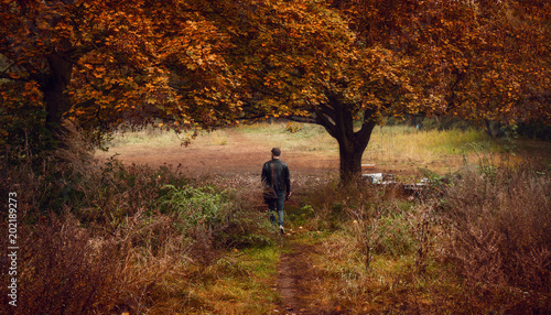 Man walking admits a field in autumn 