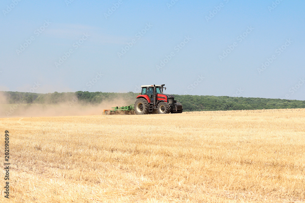 Obraz premium Harvesting wheat on a tractor in summer field. Agriculture