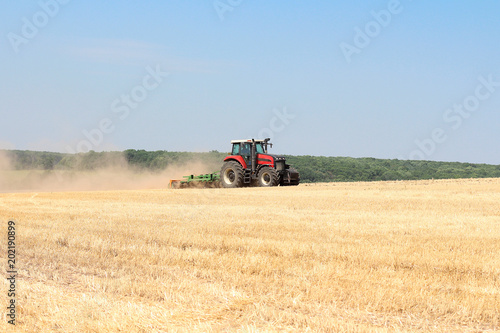 Harvesting wheat on a tractor in summer field. Agriculture