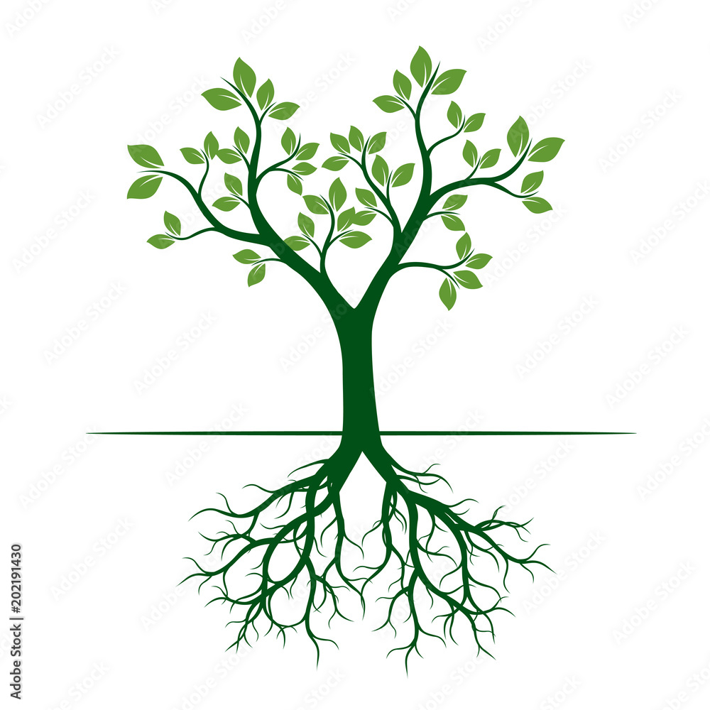 Green Spring Tree. Vector Illustration. Green Spring Tree. Vector Illustration.